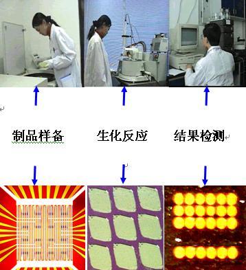 生物芯片北京国家工程研究中心项目通过国家验收